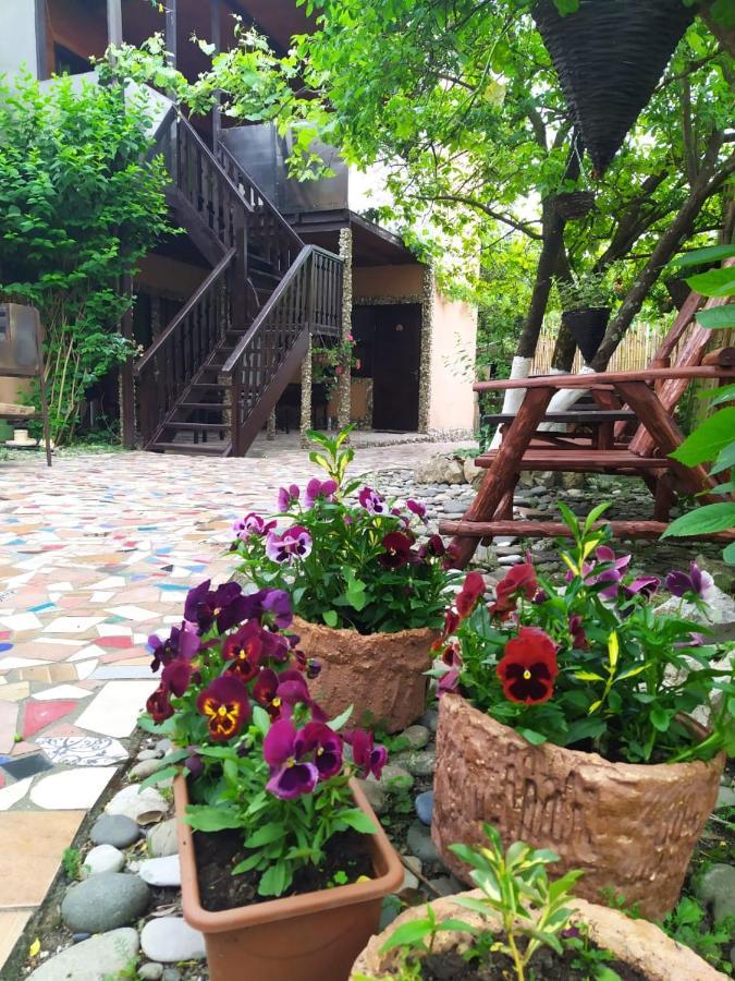 Guest House Lev Pizunda Esterno foto